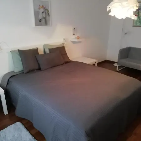 Youthful Happy Holiday In The Heart Of Apartment *